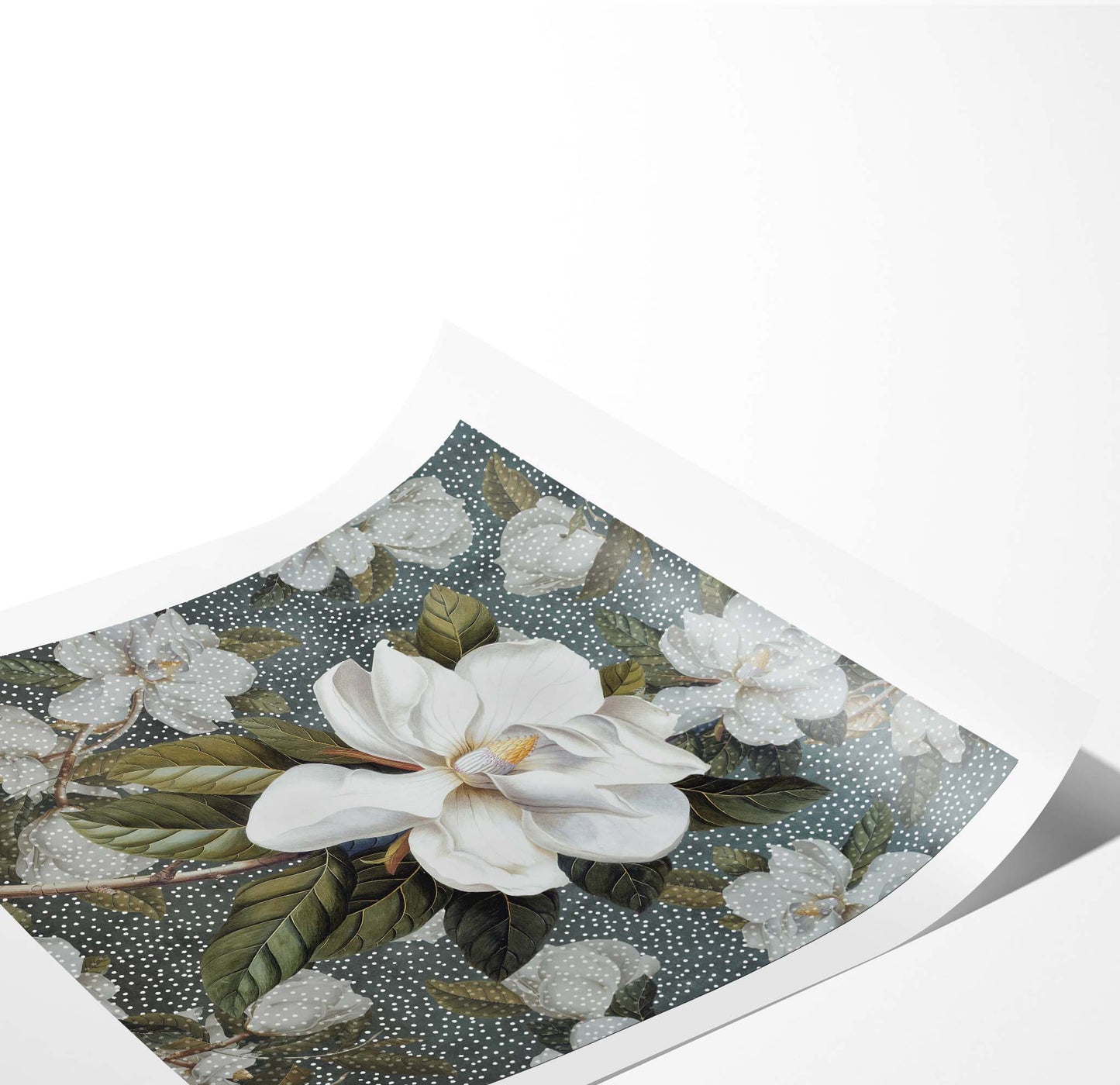 Magnolia Bloom I Square