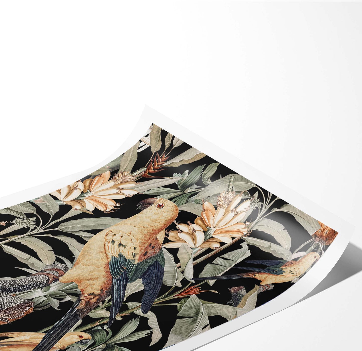 Florale Tropicana Dark I