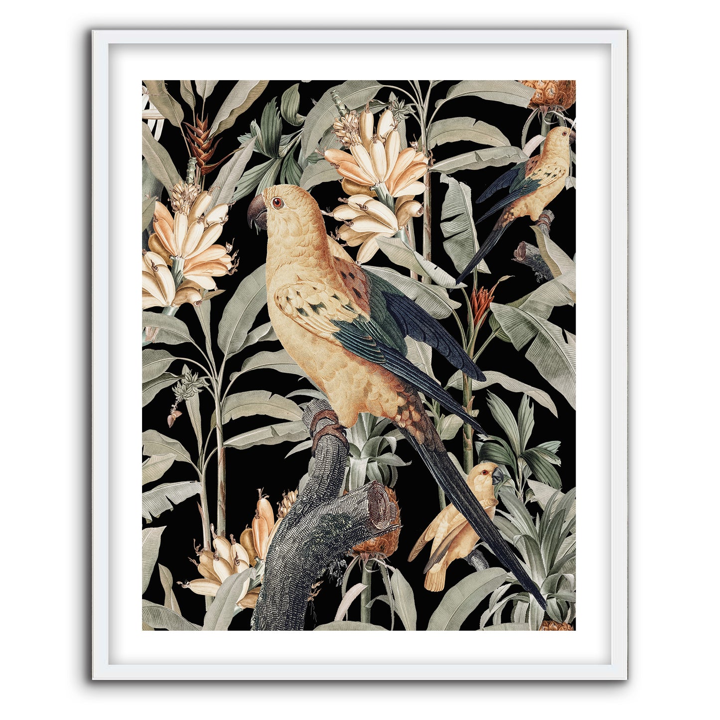 Florale Tropicana Dark I