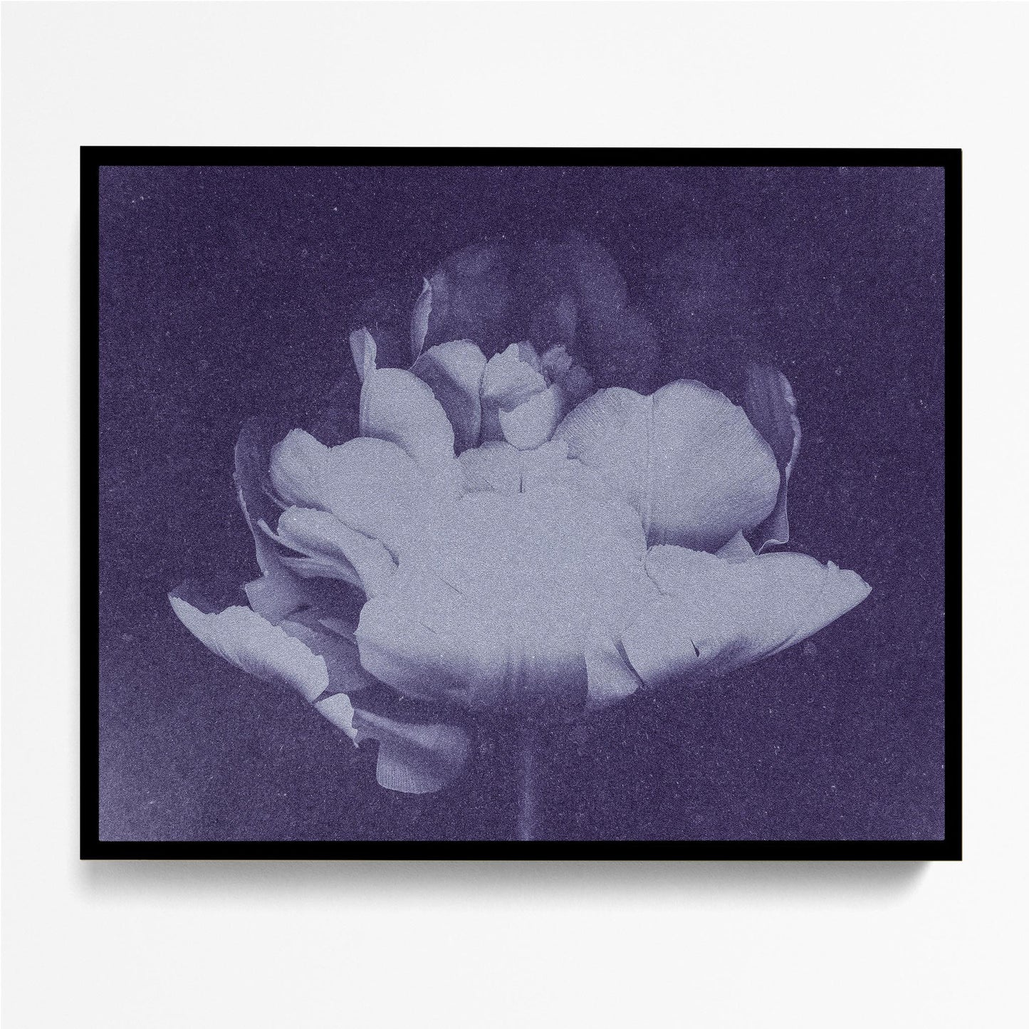 Antique Flower Blue I