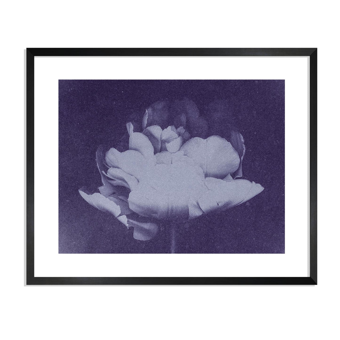 Antique Flower Blue I