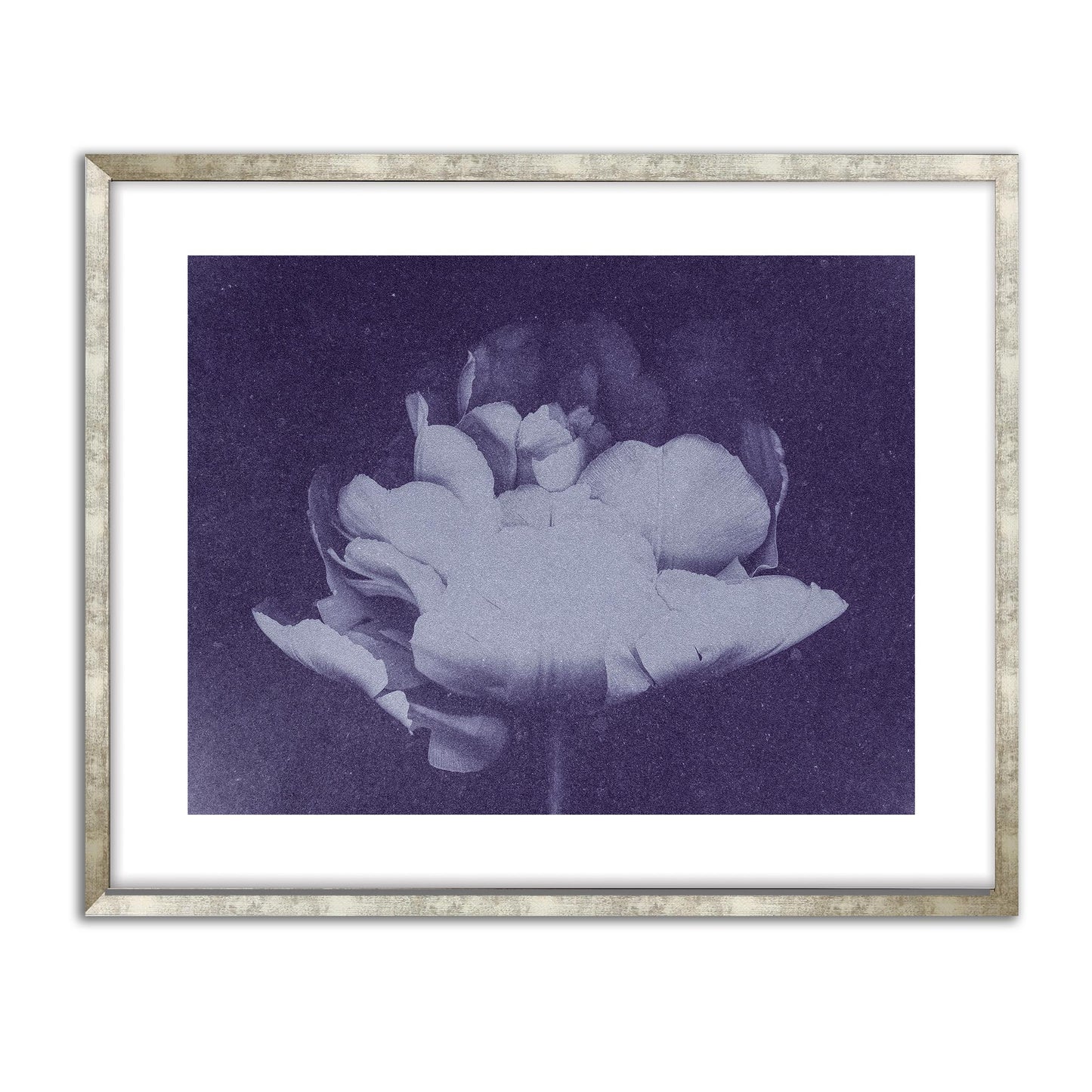 Antique Flower Blue I