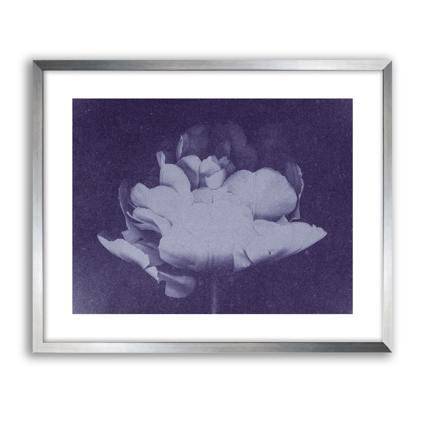 Antique Flower Blue I