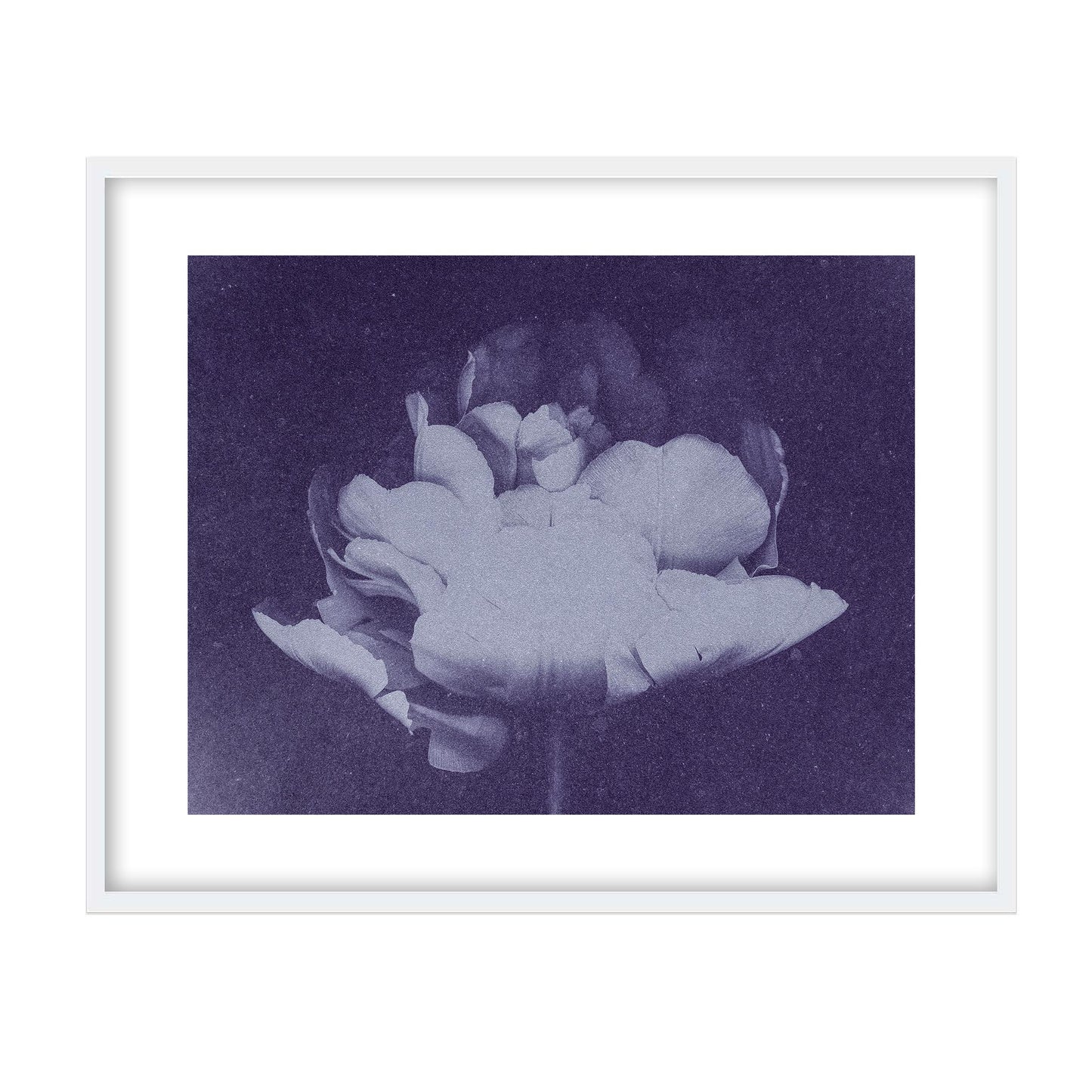 Antique Flower Blue I