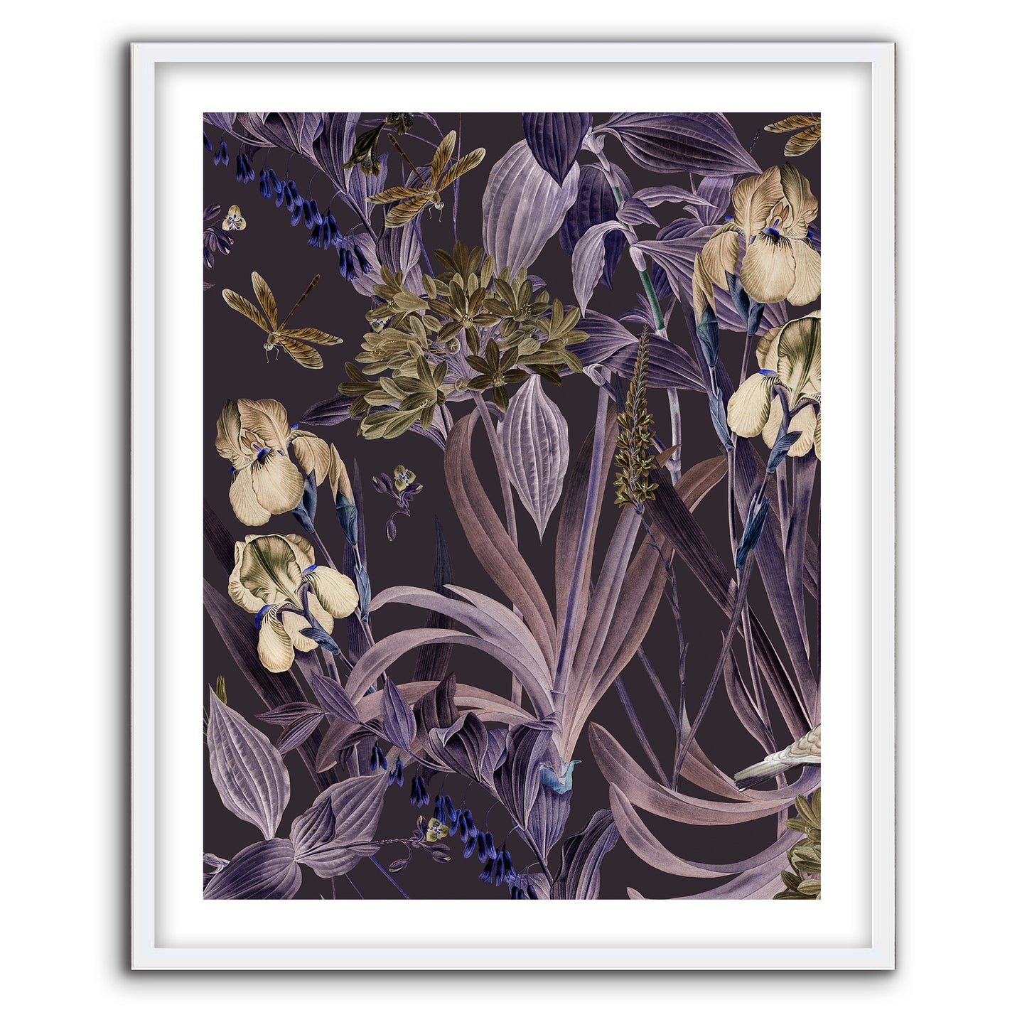 Paradise Found Plum I